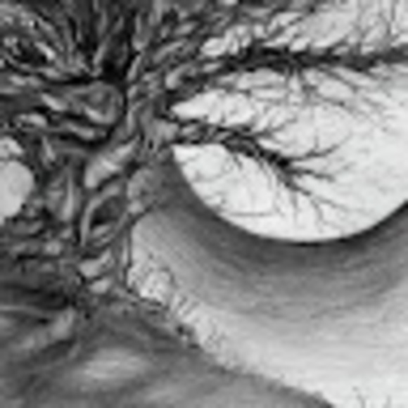 Meet your Posher, Tracey - Picture 1 of 1